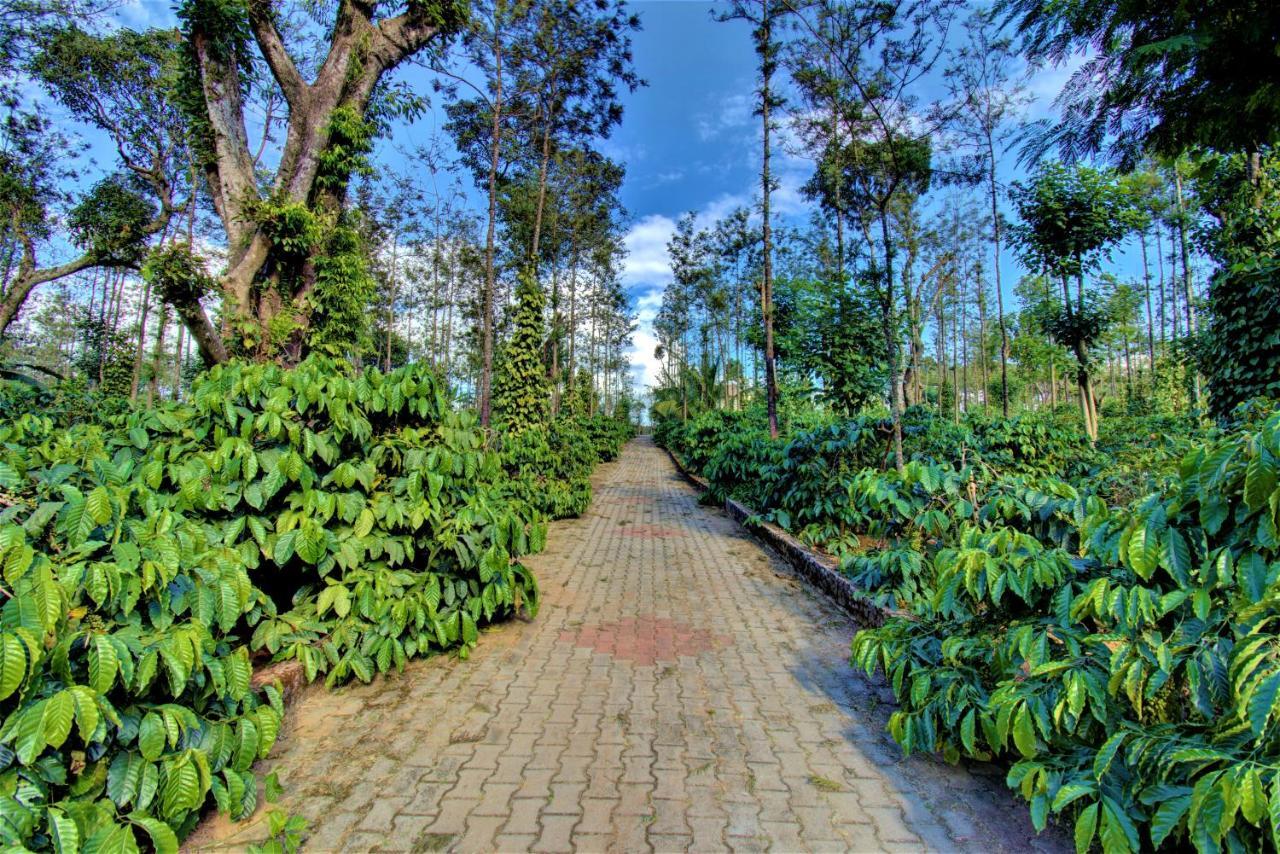 Coorg Bliss Estate Stay Madikeri Exterior foto