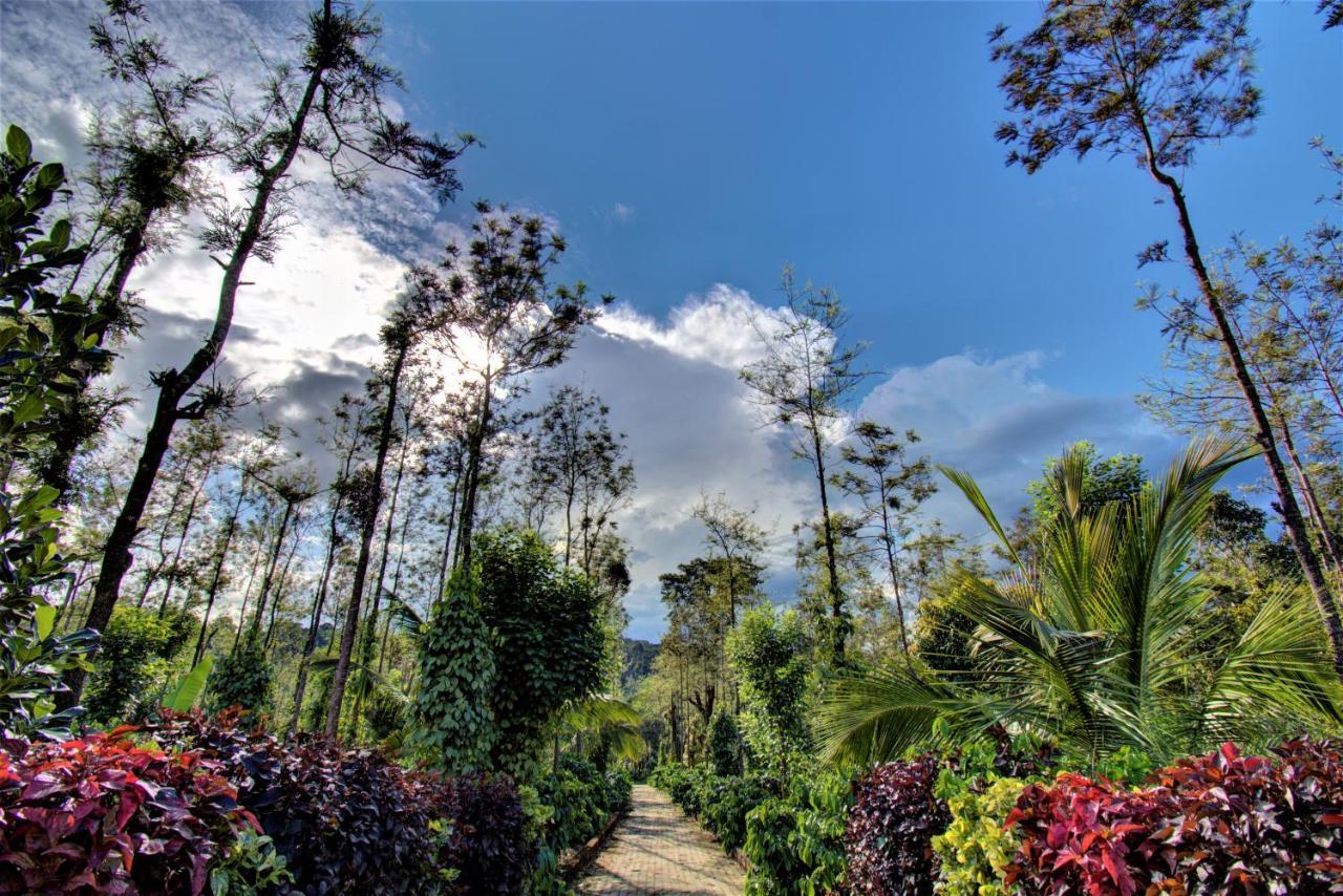Coorg Bliss Estate Stay Madikeri Exterior foto